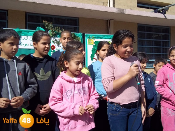 treesnewzahra2 (29).jpg